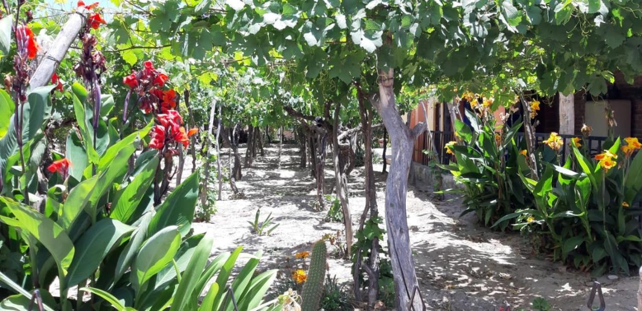 Mamaku Huasi Hotel Cafayate Kültér fotó